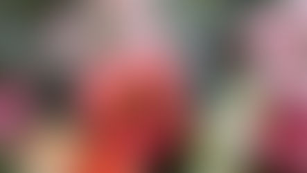 Mother's Day is just 5 days away! Order Today!