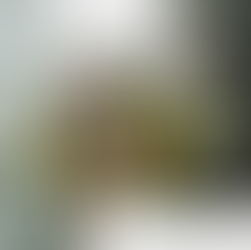 2026 Flower Subscription Offerings