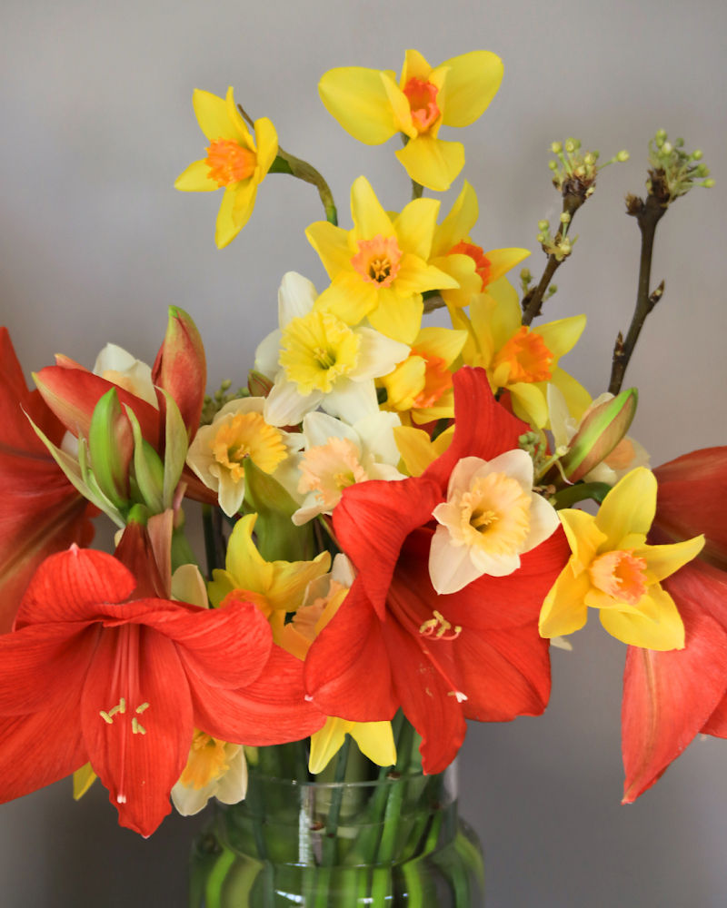 Thumbnail: XL Luxe Spring Designed Arrangement