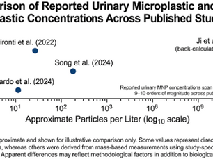 Challenges in Interpreting Reported Urine Microplastic and Nanoplastic Levels: Mass- vs. Particle-Based Measurements
