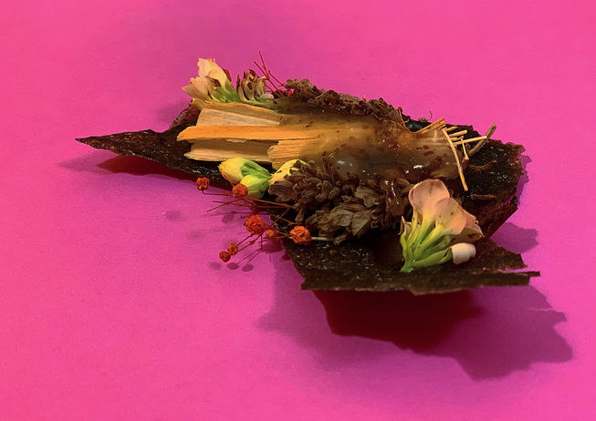 Experiments with fish gelatin
