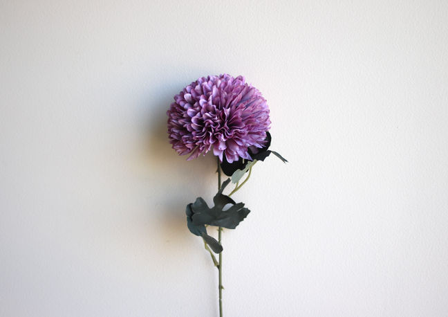 FA2A433A-FC6E-499C-ADC5-CE1546DECCC2_1_201_a (1).jpeg