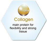 Hyaluflex | Collagen