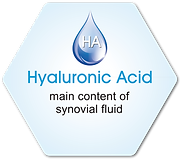 Hyaluflex | HA