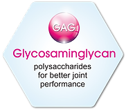 Hyaluflex | GAG
