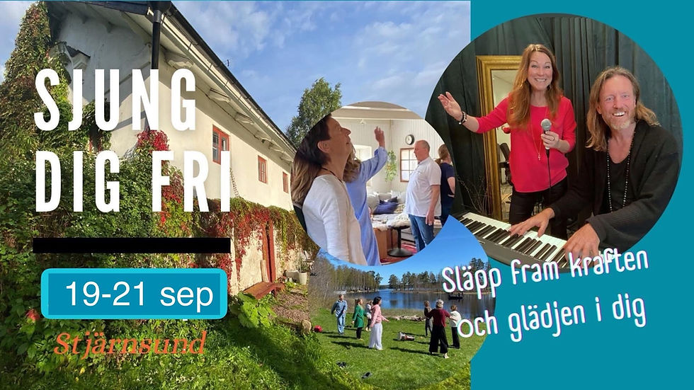 SJUNG DIG FRI