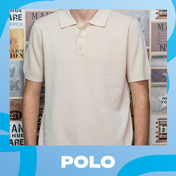 PositanoShop_Polo.png