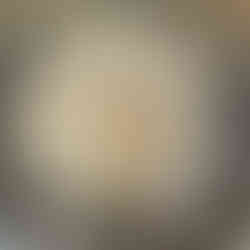 Shelled and deveined jumbo shrimp