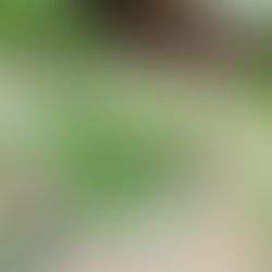 Light broth simmering with kale and black beans