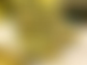 BROCCOLI & SPINACH FETA BROWNIES