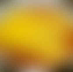 Dry spaghetti layerd on Bolognese sauce 