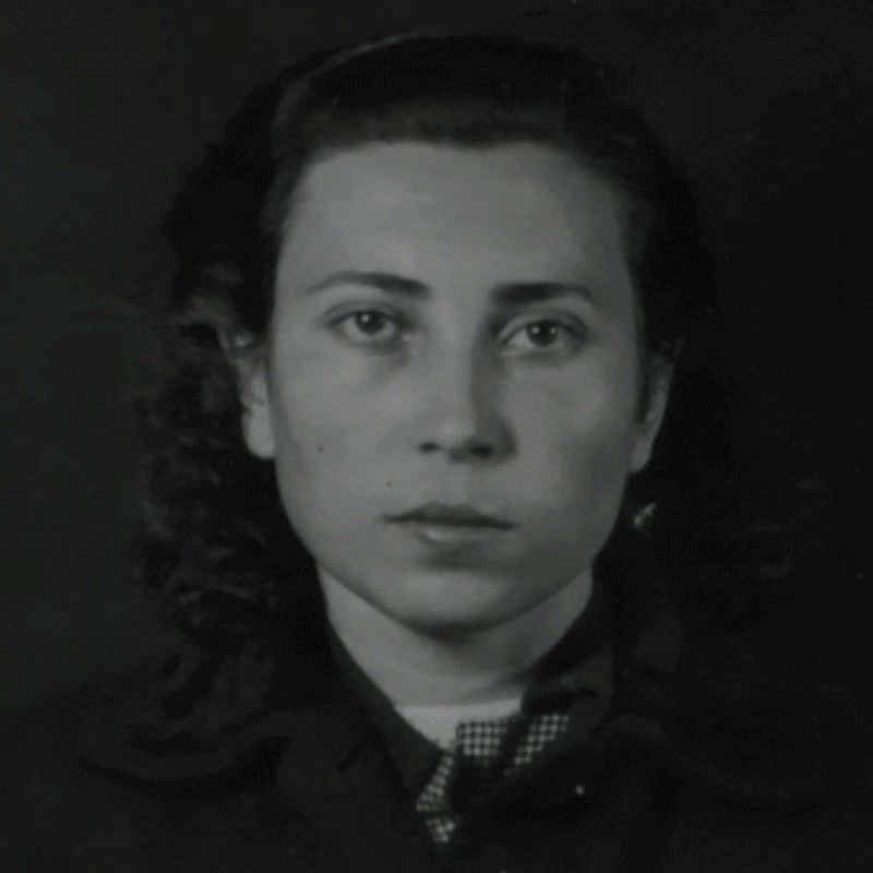 Cinema, Resistência e Liberdade.gif