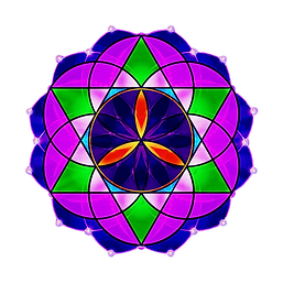 Flor da Vida, Psicodélicos, Cogumelos Mágicos