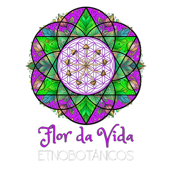 Mandala Flor da Vida