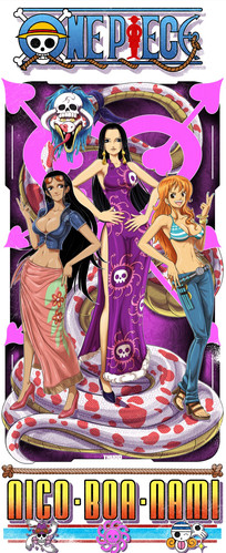 Nico Boa Nami One Piece 14x 36 print/ 2ftx5ft Tapestry | TERRY