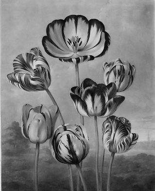 Screen Shot 2025-01-06 at 4.25_edited.jp