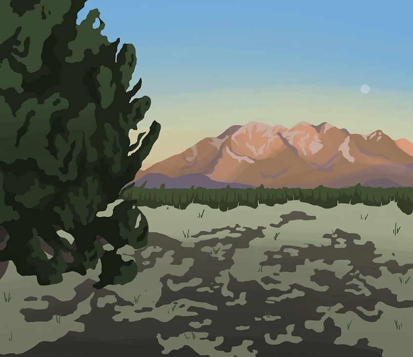 IMG_0195.png