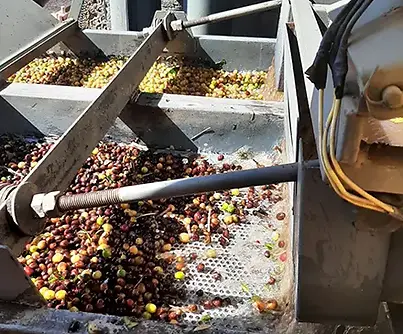 cafe paiol (45).webp