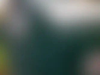 Four Simple Strategies to Reduce Return Mail for Health Plans