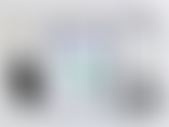 RASI’s technology and proprietary algorithms identify outlier claims resulting in a high error rate 