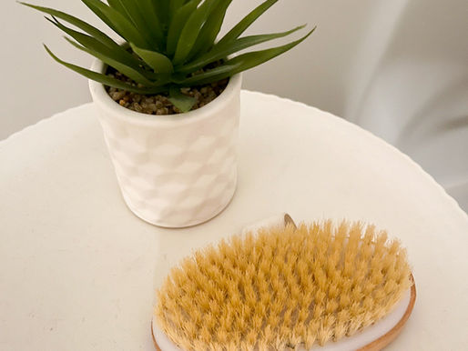 Dry Brush and Plant