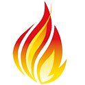 icon-fhir-720.png