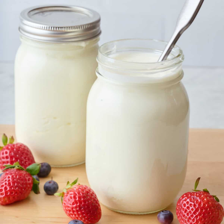 Homemade Plain Yogurt 