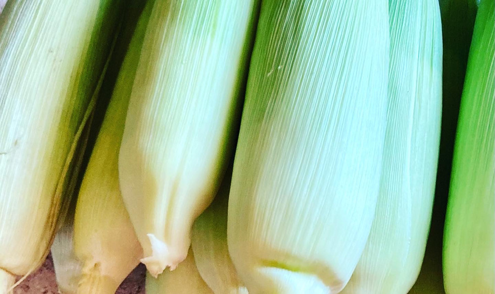 Home Heckmann Hollow, Pick Your Own, Fowler CO