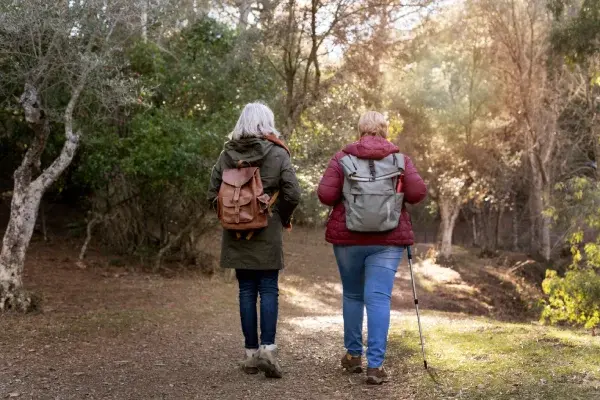 deux femmes, vue de dos, appréciant une balade en forêt