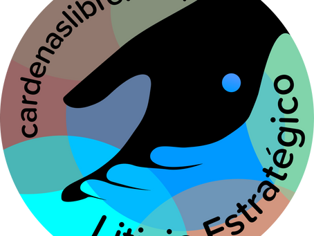 ABC DE LITIGACIÓN PENAL