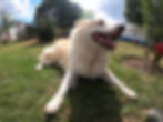 Cleto