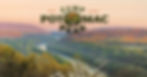 main-background-multiplied-logo.jpg