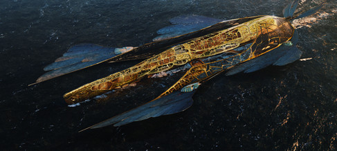 Concept ship