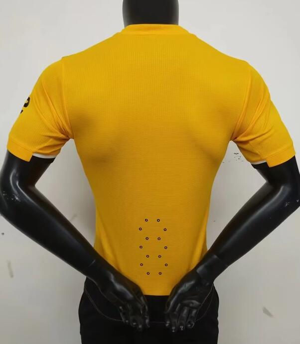 Miniatura: Wolves home 2022/23