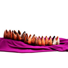 Guiding Line of Time, 2013