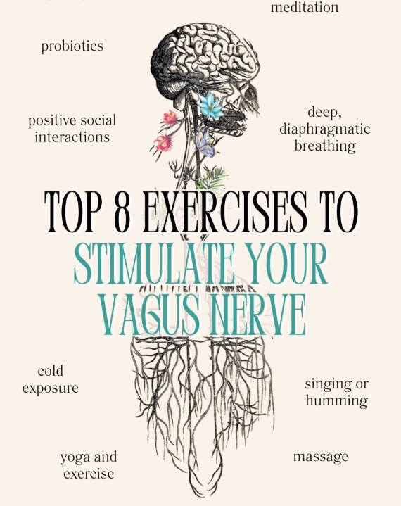 Illustration of a brain and flowers with text: "Top 8 Exercises to Stimulate Your Vagus Nerve." Includes activities like meditation and yoga.