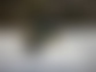 Compact Track Loader vs Skid Steer - Which is Better in Winter?