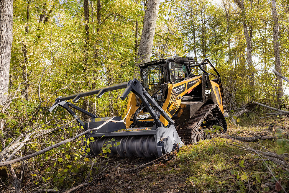 Thumbnail: RT-135 Forestry