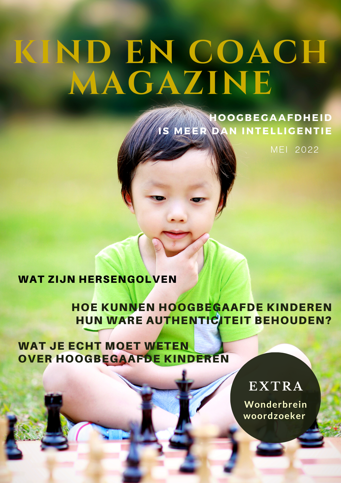 e-Kind en coach magazine - Hoogbegaafdheid is meer dan intelligentie