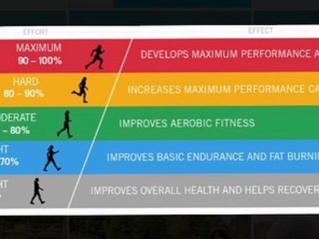 Reduce Body Fat through Exercise