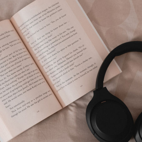 Book Review: The Storytelling Animal, by Jonathan Gottschall