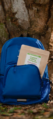 Organic and Gluten Free Chunks of Energy in a retail pouch, sitting in a backpack by a tree.