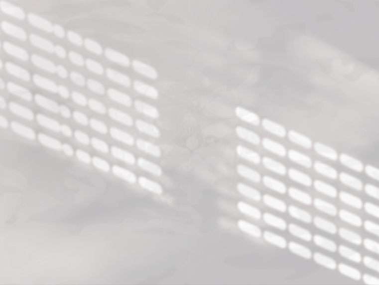 0-nms303 blackZENcamoufle-ALPHAclair_edited_edited.png