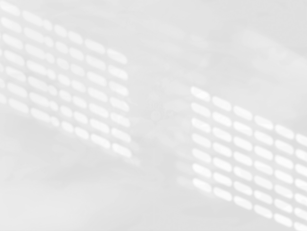 0-nms303 blackZENcamoufle-ALPHAclair_edited_edited.png