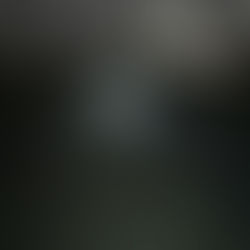 ドックランは怖い。