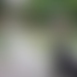 まだまだまだなー