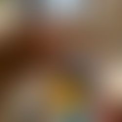 泥棒に入られた。