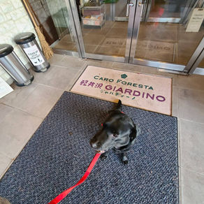 秋ももうすぐ🎃🍁🍄🌰