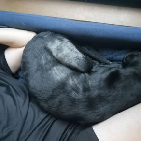 愛情たっぷり💕ラブ翼ご飯