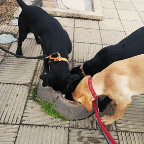 高速のSAで休憩